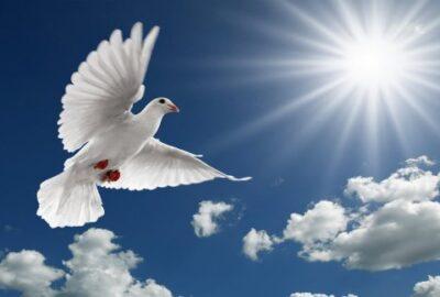 Come Holy Spirit Fill Our Hearts With Love