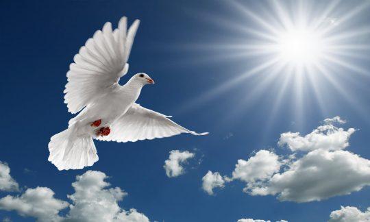 Come Holy Spirit Fill Our Hearts With Love