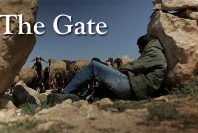 Enter Through The Gate-The Good Shepherd