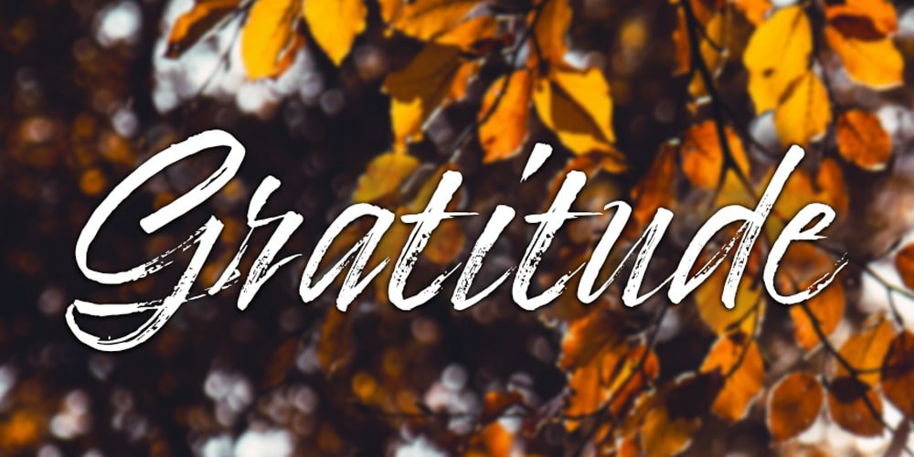 The Changing Face of Gratitude-Why You Should Guard Against It