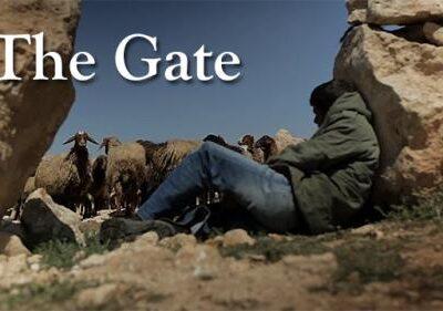 Enter Through The Gate-The Good Shepherd