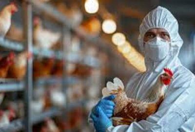 Challenges Intensify in Tracking U.S. Bird Flu Outbreak