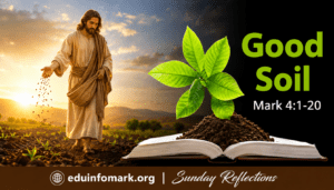 Eduinfomark.org sunday reflections